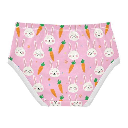 Cute Bunny Rabbit Carrot Pink Toddler Girls's Underwear 2T 23022132