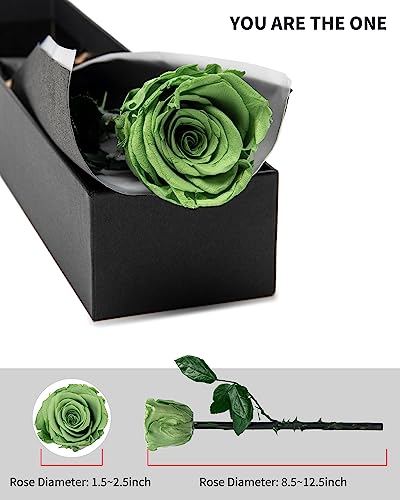 Image of Green Flowers for Delivery Prime, Preserved Green Roses Flower Gifts for Women, Real Roses Single Rose Gifts for Her, Mom Birthday Gifts from Daughter, Valentines Flowers