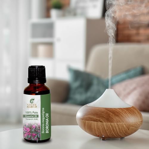 Aceite Esencial Boronia 5ML (0.16 Fl Oz) miniatura 4