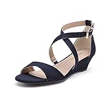 DREAM PAIRS Women's Low Wedge Sandals Ankle Strap Heel Sandal Open Toe Dress Summer Shoes,Size 8.5,Navy/Suede,JONES