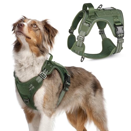rabbitgoo Tactical Dog Harness Medium Sized Dog, No Pull Military Service Vest with Handle & Molle, Easy Control for Training Walking, Adjustable Reflective Straps, Green, M