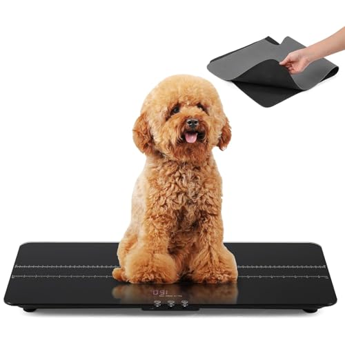 Pèse-personne numérique 100 kg Bonvoisin balance de pesée précise 10 g avec grand plateau de 68 cm