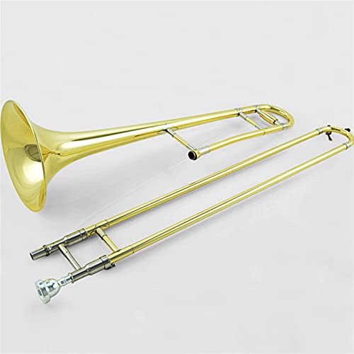 w g{[ Ag B-tbg bJ[dグ S[h g{[̓O[hvptH[}XɓKĂ܂ g{[Lbg