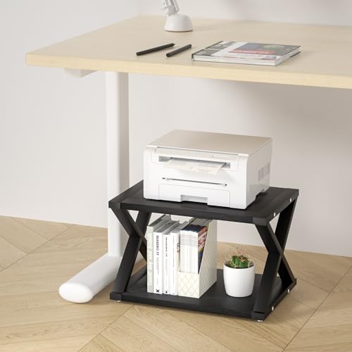 Desktop Printer Stand, 2-Tier Organizer for Home Office