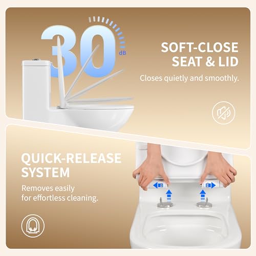 Image of DeerValley Elongated One Piece Toilet with Efficient Dual Flush 1.1 /1.6 GPF