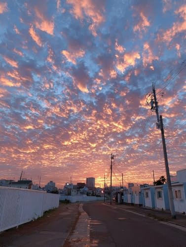 G Xg[gr[, v DIY G LoX, Paint by Numbers ܂ ANyCg uV, hG K؂ l S, Mtg , H̑, z[ ItBX, ƒIt BX̕Ǒ, 6