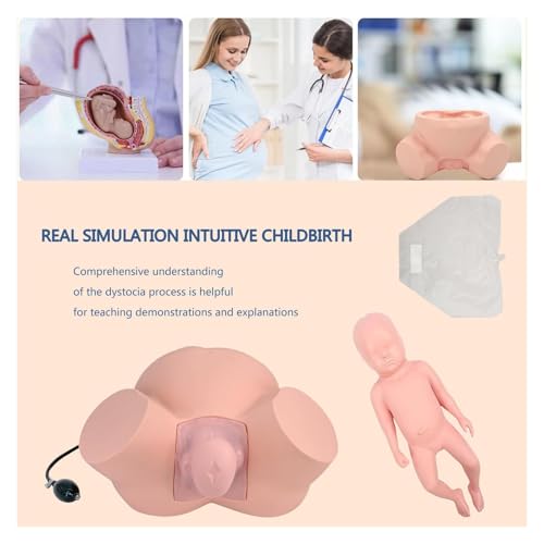 Simulateur de naissance AMITD en salle de simulation pour futurs obstétriciens