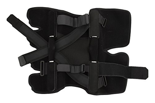 APA j[PA[EMCL tGT|[^[ 19181 E 3L