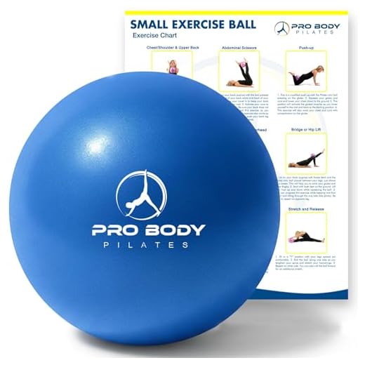ProBody Small Exercise Ball