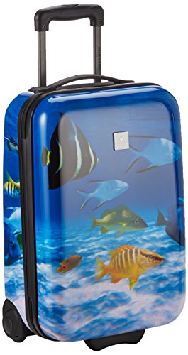 Preisvergleich Produktbild Saxoline Fish Tank Koffer, 55 cm, 29 Liter, Blau