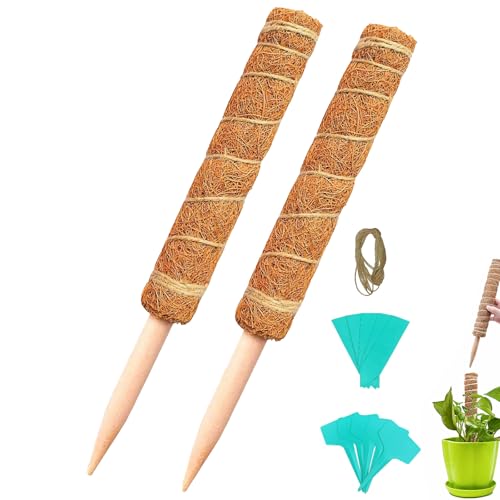 モンステラ 支柱 園芸支柱 つる性植物 ヘゴ支柱 観葉植物 ポトスタワー支柱 モスポール 農業用 園芸用 園芸支柱パーツ おしゃれ 環境保護 延長 長期間使用 柱2本+T字PVCラベル5本+緑ラベル5本+2メートル麻紐2本 (40cm*2pcs)