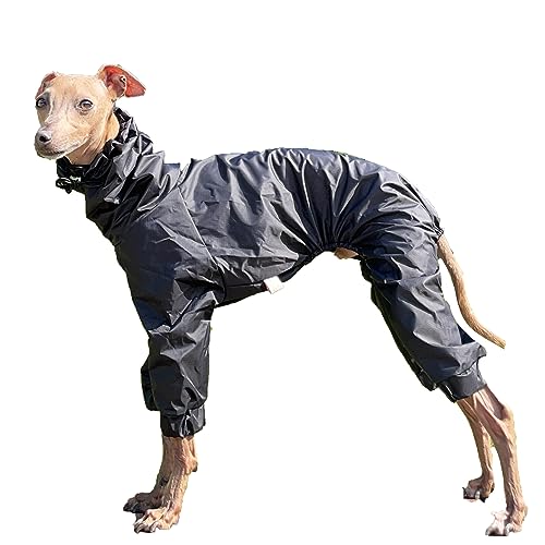 D Doggy Star Italian Greyhound Raincoat Waterproof Jacket Windbreaker Clothes Whippet for Dog (M,Raincoat Black)