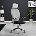 Green Soul Yoga Office Chair with 2:1 Smart Synchro Mechanism | 3D Adjustable Headrest | 2D Adjustable Lumbar Support | Strong Nylon Base | High Back Ergonomic Chair for Home & Office (Grey)