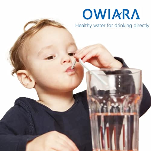 Owiara Alkaline Water Filter Pitcher With Filter, 14 Cup Digital Display Water Purifier Pitcher In Bpa Free For Quick Clear Chlorine, Fluoride, Heavy Metals, Odor, Bad Taste #TOP1