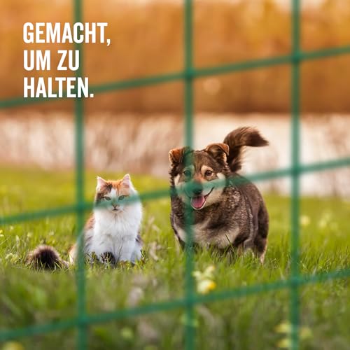Alberts 614508 Schweißgitter | verschiedene Höhen - wahlweise in verschiedenen Farben | grün | Maschen 12,7 x 12,7 mm | Höhe 50 cm | Länge 5 m