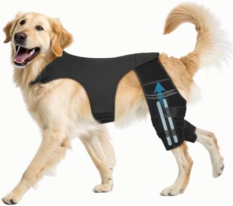 Pawfun Dog Knee Brace for Torn ACL Hind Leg, Dog Leg Braces for Back Leg Support with 4 Metal Stabilizers Helps with Torn CCL, Luxating Patella, Ligament Injuries, Hip Dysplasia,XL