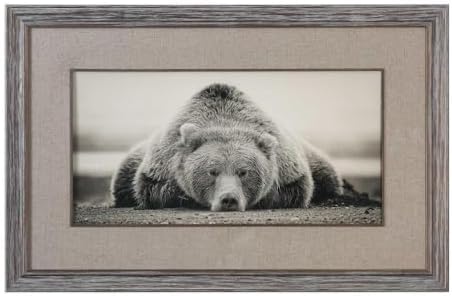 Deep Sleep 50" W Grizzly Photo Framed Wall Art Print