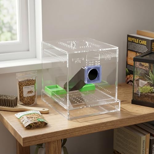 Kit de soin de cricket acrylique et boîte d'élevage d'insectes pour reptile