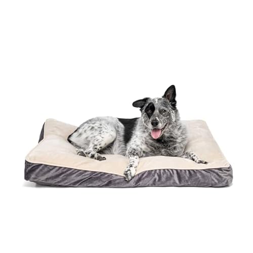 EveryYay Essentials Lounger Dog Bed 40x30x4 Large Gray