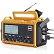 Tragbares DAB+/DAB/FM Radio mit 5000mAh Akku und Kurbelbetrieb
