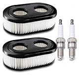2ST Luftfilter und 2ST Zündkerze, Rasenmäher Luftfilter für Briggs Stratton Motoren 550E 550EX Eco-Plus 575EX Series Luftfilter Rasenmäher Ersetzt, 798452 593260