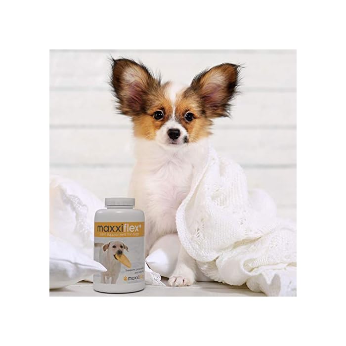 maxxipaws - maxxiflex+ Hip & Joint Supplement for Dogs with Glucosamine, Chondroitin, MSM & Collagen | Mobility, Flexibility & Discomfort Support | Senior, Adult & All Breeds | 120 Tablets - Image 3