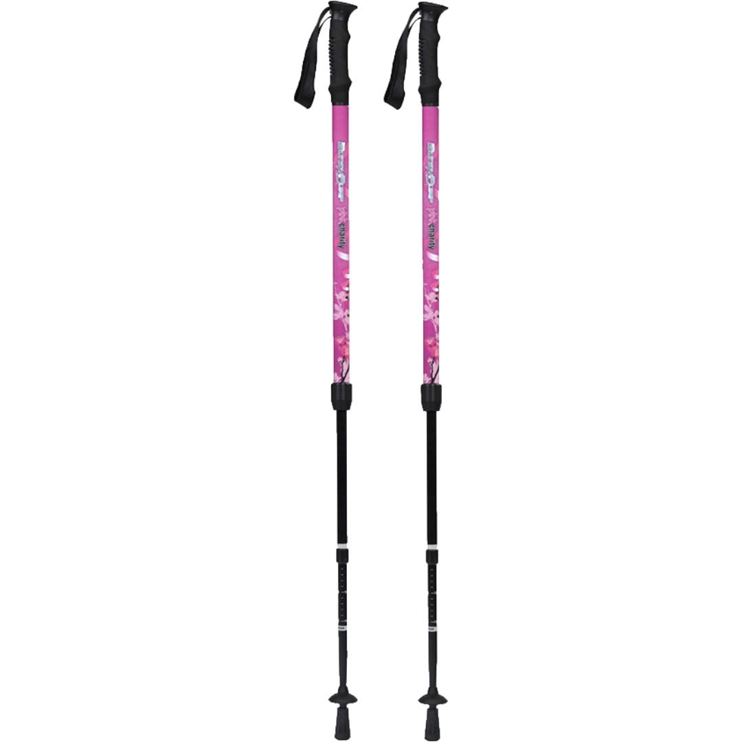 BungyPump Pink Charity – Bastones de marcha nórdica con resistencia de 4 kg para fitness y rehabilitación, 3 piezas, desmontables, médicamente recomendados, color rosa – Modelo de caridad limitada