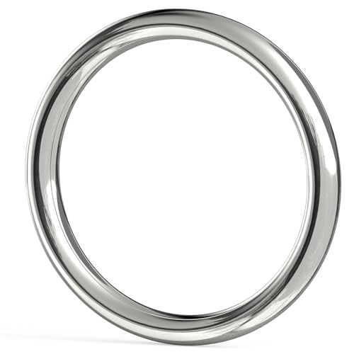 BEYOURD 1 inch Metal O Rings, Stainless Steel Round Ring Buckles, Solid Welded Metal Loop for Dog Collars, Macrame, Hanging Strap Slings