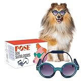 Jet Setter Sunglasses for Dog - UV Protective Lenses, Debris Protection, Pannus Prevention, Invisible Chinstrap, Interchangeable Lenses, NYC Design - Transparent Blue/Solid Blue, Medium