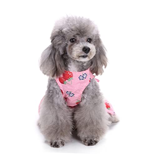 Angoily Sommerkleid Für Hunde Ärmellos Erdbeer Motiv Welpenrock Mit Schleife Atmungsaktive Haustierkleidung Alltag Urlaub Klein Bis Mittelgroß