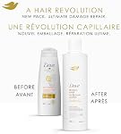 Dove Dryness & Shampooing de soulagement et revitalisant pour cuir chevelu sec et démangeaison, avec technologie de soins bioprotéines liquides, 355 ML (2 Shampooing + 2 Conditionneur)