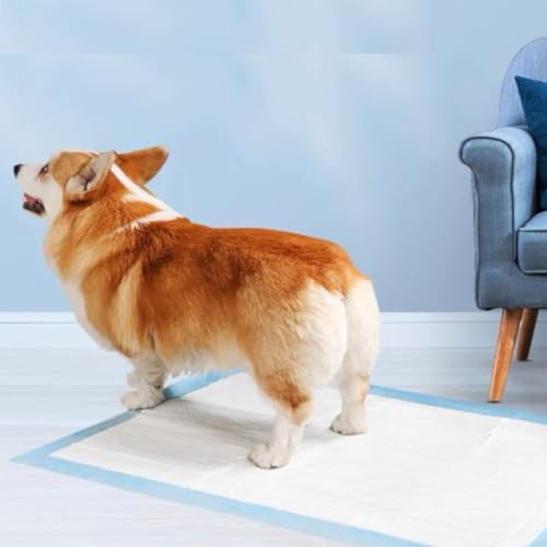 Image of Pee Pads Dog Training 32 inchx36 inch 60 Count Extra Large Pad Leak-Proof & Super Absorbent Dog Pee Pads with Quick-Dry Surface for Pet Cats, Rabbits, Dogs, 60PCS
