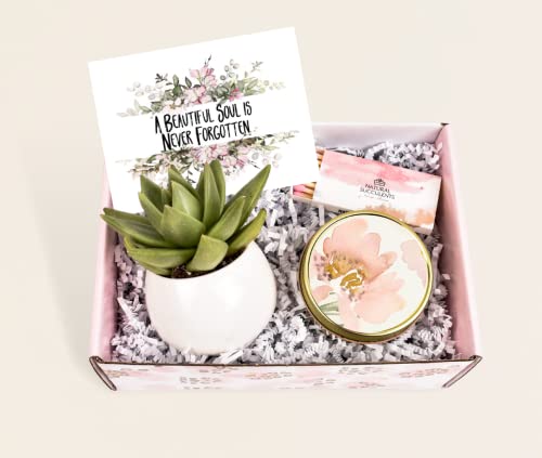 Product Image of the Succulent Gift Box - A Beautiful Soul is Never - Sympathy Gift - Sorry for Your Loss - Sympathy Box - Sympathy Gift Set (XBM9)
