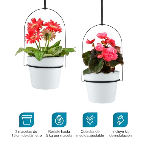 Macetas, Kitchen Imagen adicional