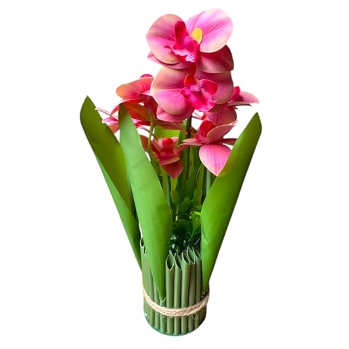 Image of Garden Art Pack of 1 Artificial Phalaenopsis Orchid Bonsai Bunch, 6 Heads, 9 Flowers, 31cm GAAPHOB-6H-31PH (Peach Shaded)