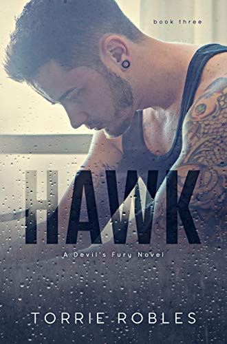 Hawk: Devil's Fury Book 3