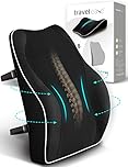 TRAVEL EASE Ergonomic Lumbar Support Cushion, Memory Foam Back Support for Car Seat Office Chair Gaming Chair, Backrest with Skin-Friendly Cover & Dual Adjustable Straps, Black