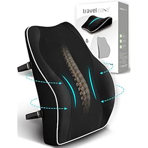 Travel Ease Ergonomic Lumbar Support Cushion, Memory Foam Back Support Cushion for Office Chairs with Skin-friendly Cover for Comfort (Black)