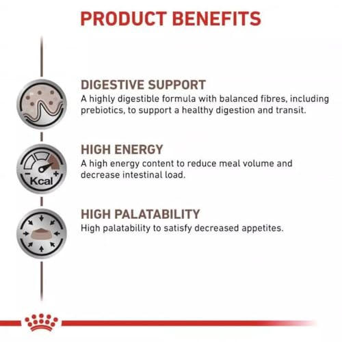 Royal Canin Veterinary Gastrointestinal Mousse | 12 x 400 g | Diät-Alleinfuttermittel für ausgewachsene Hunde | Zur Unterstützung bei akuten Resorptionsstörungen des Darms