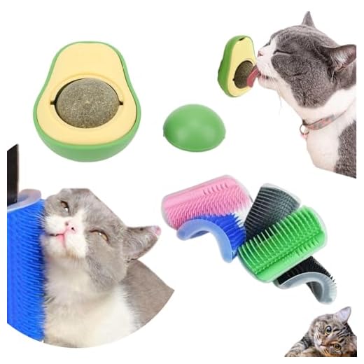Kit 2 Brinquedo Para Gato Catnip Bola Erva Gatos Coçador Escova Maçageador para gato (Rosa)