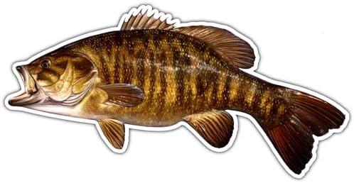 Smallmouth Bass Sticker Fishing Sticker - Freshwater Wildlife Car Bumper Fish Vinyl Sticker Decal for Vehicles Boats Laptops Windows Skateboards and Luggage Stickers for Men and Women 6"X3" sr93