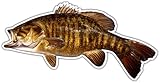 Smallmouth Bass Sticker Fishing Sticker - Freshwater Wildlife Car Bumper Fish Vinyl Sticker Decal for Vehicles Boats Laptops Windows Skateboards and Luggage Stickers for Men and Women 6'X3' sr93