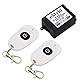 eMylo Wireless Relais DC 12 V Einkanal Smart Fernbedienung Schalter RF 433 MHz Mit Zwei Sender