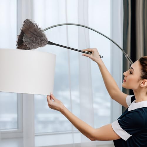Image of iplusmile Ostrich Duster with Long Handle Lightweight Natural Cleaning Tool for Dusting Home Office Car Kitchen