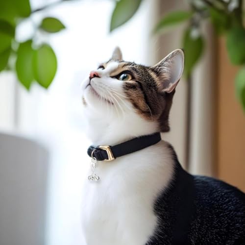 JJUNW 2 Pcs Mini Dog Collar Bells, Cat Bell, Silver Pet Pendant Accessories for Training, Loud Charms for Dogs and Cats - Thumbnail 5