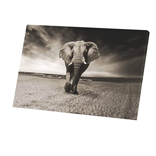Éléphant d'Afrique photo nature pour salon moderne et décoration de bureau