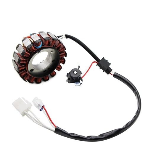 Bobine de stator d'allumage pour rouler serein en Yamaha WR125X