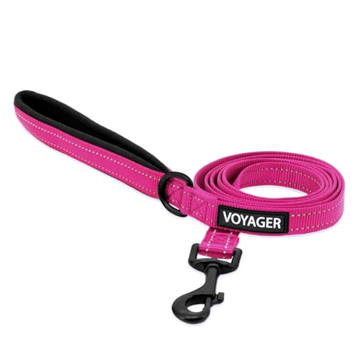 Image of Best Pet Supplies Voyager Reflective Dog Leash or Collar with Neoprene Handle, for Small, Medium, and Large Breed Puppies, Cute and Heavy Duty for Walking, Running and Training - Fuchsia (Leash), L