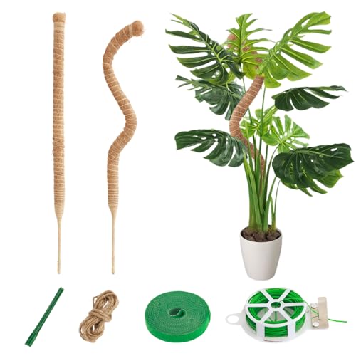 CNMTCCO 2 Stück 60 cm Moosstab Monstera für Pflanzen,Rankhilfe aus Kokosfaser,Rankhilfe für Kletterpflanzen mit Zubehör,Anzuchtpfosten für Kletterpflanzen Monstera für Indoor Pflanzen