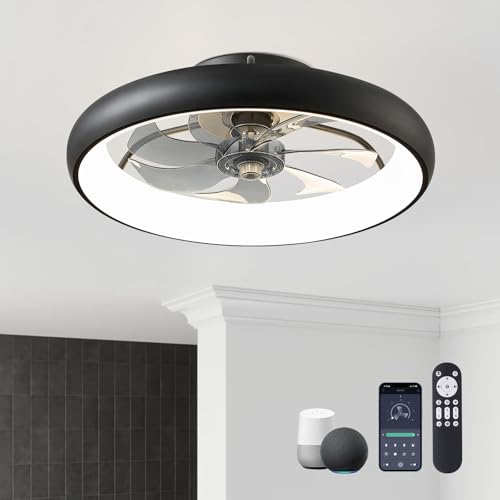 Ceiling Fans with Lights and Remote, 20'' Low Profile Flush